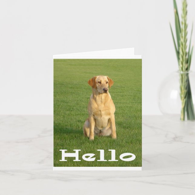 Carte Bonjour Labrador Retriever Chiens de Chiens de Chi (Devant)