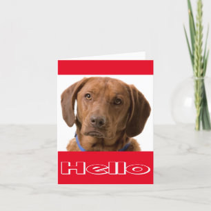Carte Bonjour Labrador Retriever Puppy Dog Note Card