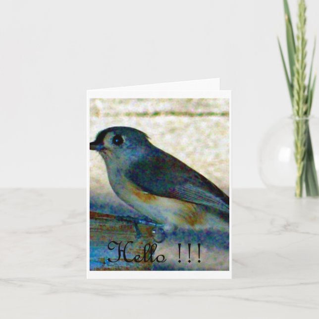 Carte Bonjour oiseau (Devant)