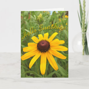 Carte Bonjour Pensée pour Vous Fleur de Rudbeckia Person