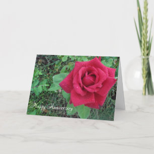 Carte Bonne Anniversaire Love Red Rose Raindrops Card