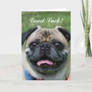 Carte Bonne chance Carlin chien