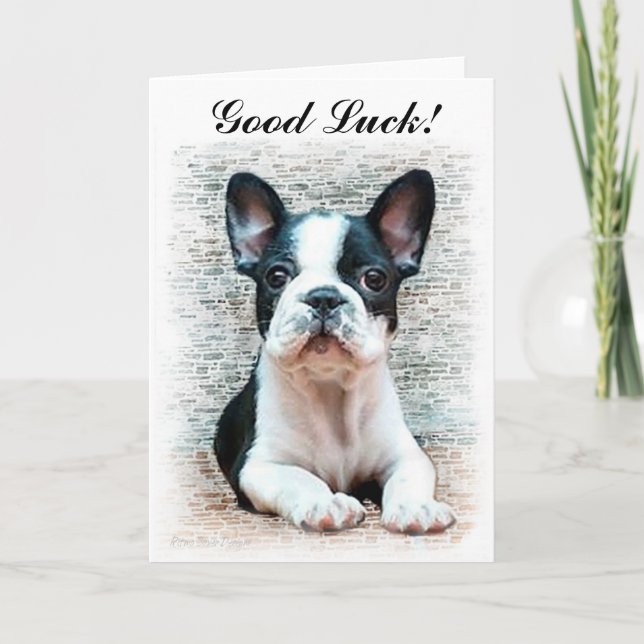 Carte Bonne chance French Bulldog puppy card (Devant)