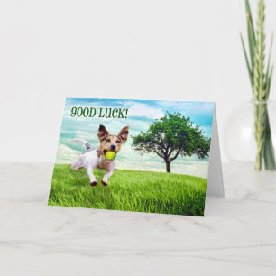 Carte Bonne chance Jack Russel Terrier Jouer Fetch