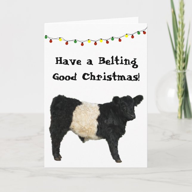 Carte Bonne fête de Noël Vache Belted Galloway (Devant)