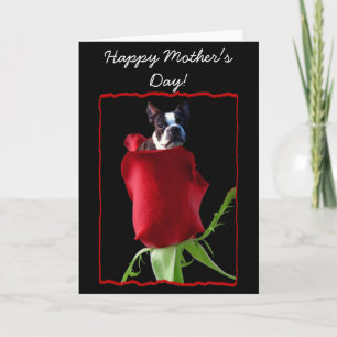 Carte Bonne fête des mères Boston Terrier Greeting Card