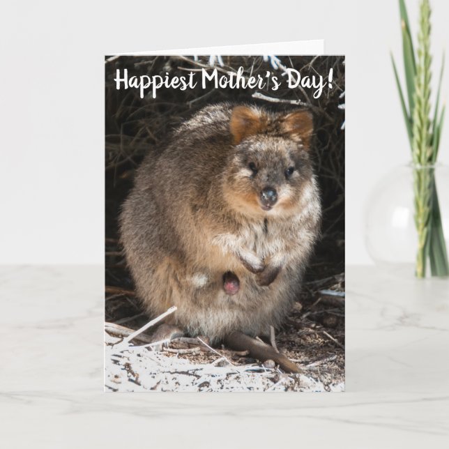 Carte Bonne fête des mères Quokka Australie (Devant)