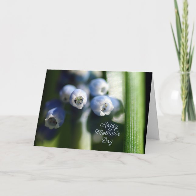 Carte Bonne fête des mères - Spring Bud (Devant)