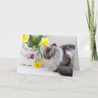 Carte Bonne fête nationale des frères et soeurs !