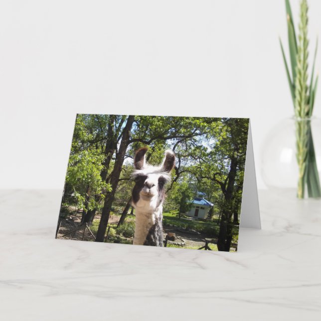 Carte Bonne Llama (Devant)