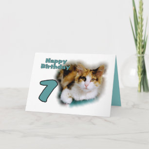 Carte Bonne septième anniversaire Calico Cat Card
