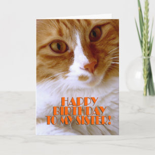Carte Bonne Soeur d'anniversaire - Chat doux