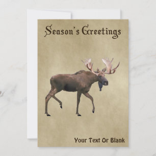 Carte Bonnes Fêtes - Bull Moose Sur Vieux Papier