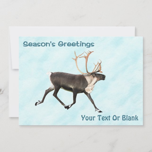 Carte Bonnes Fêtes - Caribou (rennes) Sur Neige (Devant)