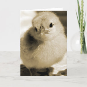 Carte Boot's Chick in Sepia Toutes les occasions Blank I