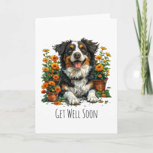 Carte Border Collie Remets-Toi Vite Dans Les Fleurs (Devant)