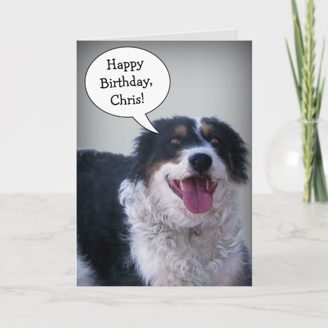 Carte Bordercollie Birthday (Devant)