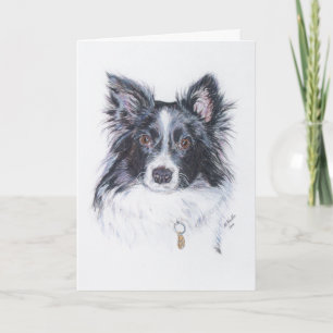 Carte Bordure Collie