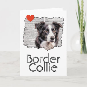 Carte Bordure Collie