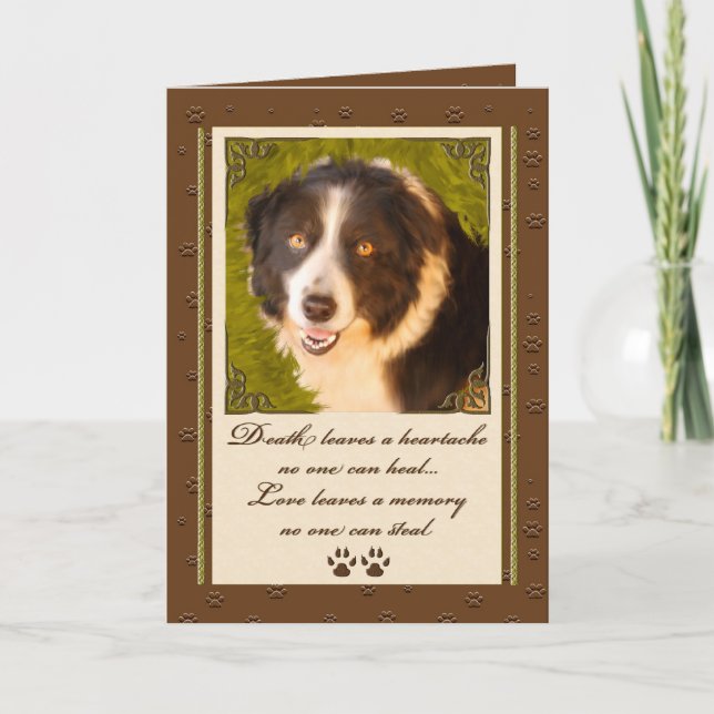 Carte Bordure Collie Animal de compagnie Sympathie Perte (Devant)