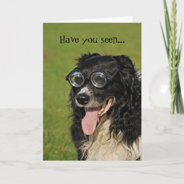 Carte Bordure Collie Flocking Funny Card (Devant)