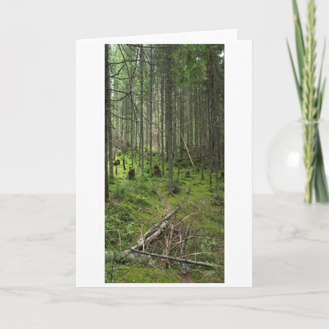 Carte "Boreal Life Trail" Scène forestière Adirondack (Devant)