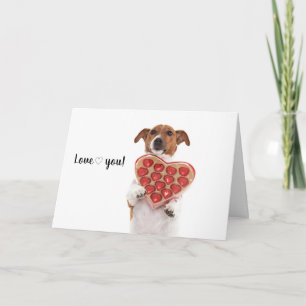 Carte Boris - Jack Russell Terrier -
