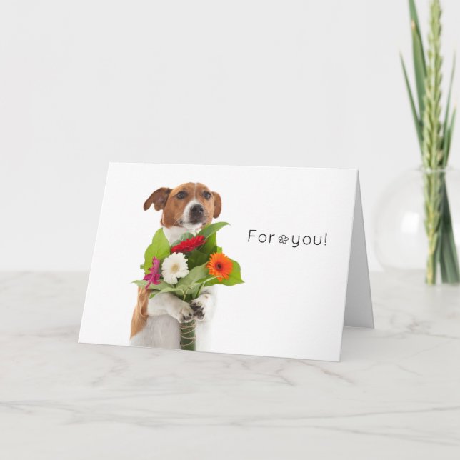 Carte Boris - Jack Russell Terrier - Fleurs pour vous! (Devant)