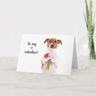 Carte Boris - Jack Russell Terrier - Soyez ma valentine