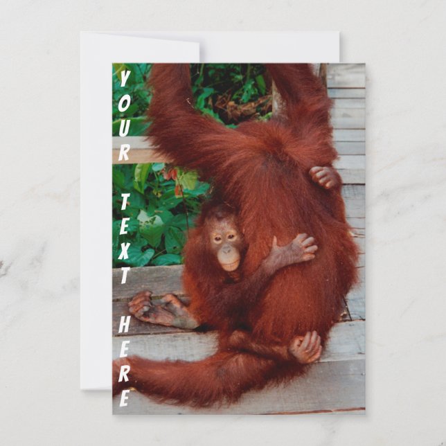 Carte Bornéo orangutan personnalisable (Devant)