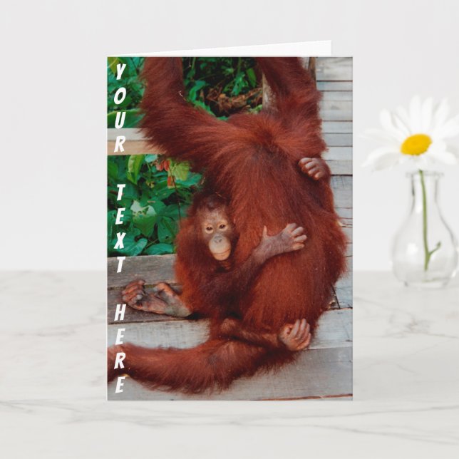 Carte Bornéo orangutan personnalisable (Petite plante)