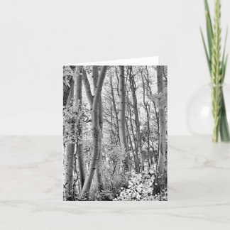 Carte Bosquet
