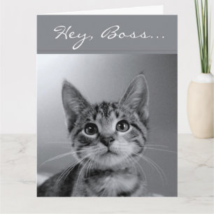 Carte Boss, Have a PURR-fectly MEOW-velous Birthday !