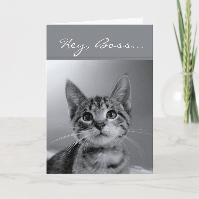 Carte Boss, Have a PURR-fectly MEOW-velous Birthday ! (Devant)