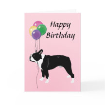 Boston Terrier avec le joyeux anniversaire de
