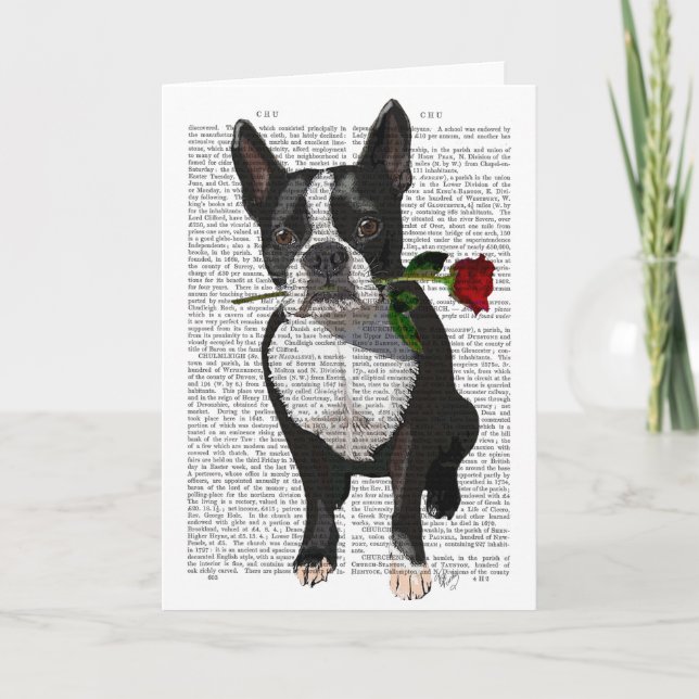 Carte Boston Terrier avec Rose à la bouche (Devant)