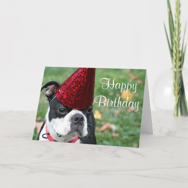 Carte Boston terrier avec un casquette d'anniversaire (Devant)
