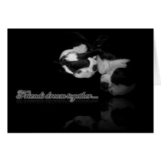 Carte Boston Terrier Dreams