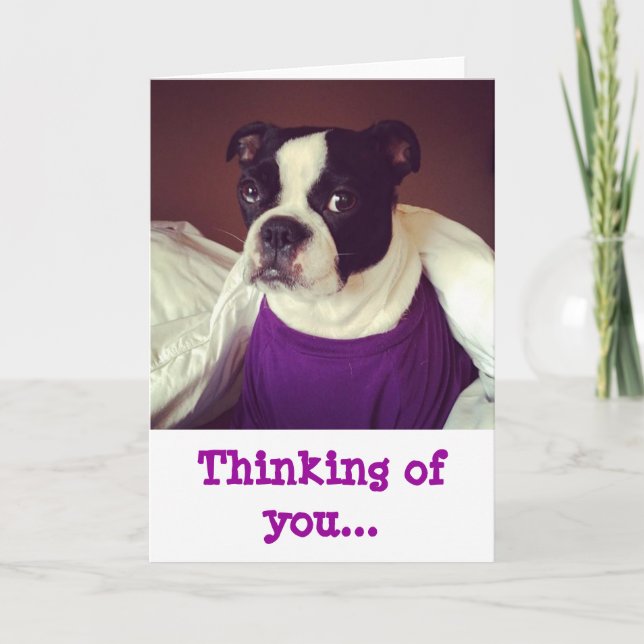 Carte Boston Terrier-Pensant à vous (Devant)