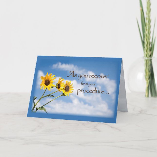 Carte Bouches Sky Récupération De La Procédure (Devant)