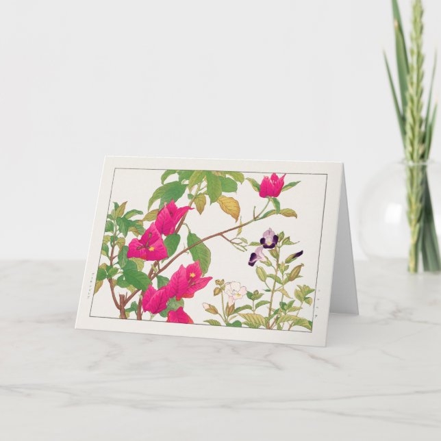 Carte Bougainvillea, Fleur Wishbone de Tanigami Konan (Devant)