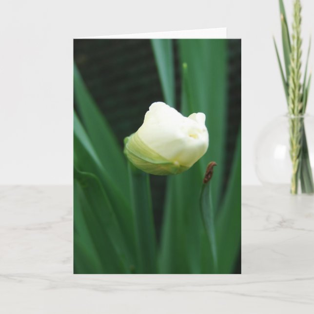 Carte Boule de fleurs (Devant)