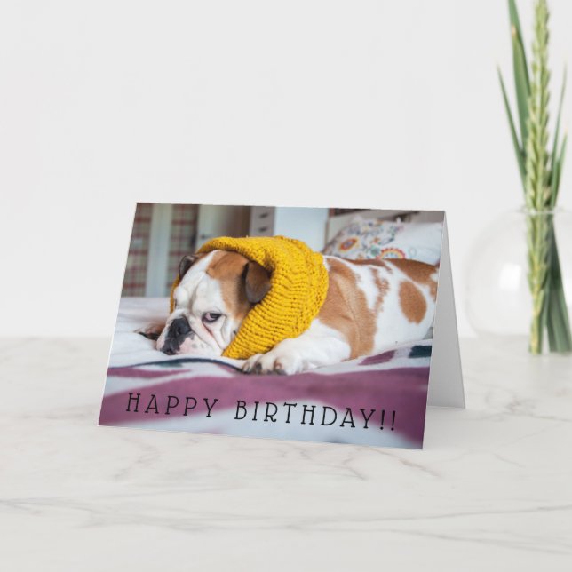 Carte Bouledogue anglais des images | de Getty (Devant)