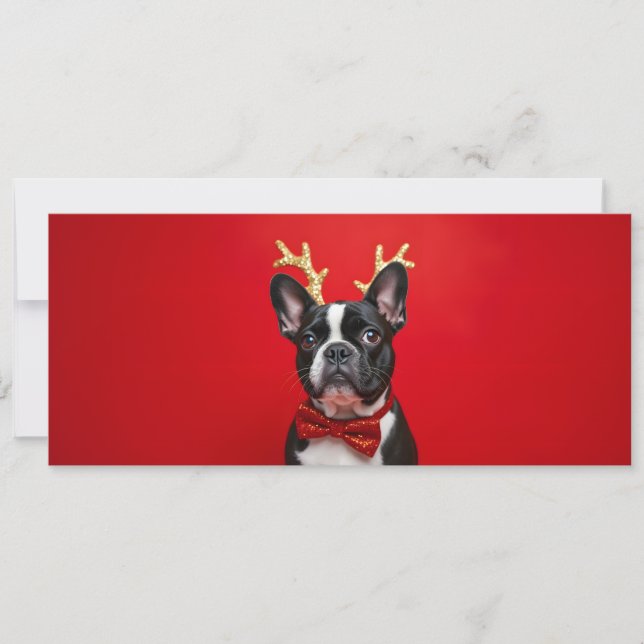 Carte Bouledogue Français de noël au nœud papillon  (Devant)