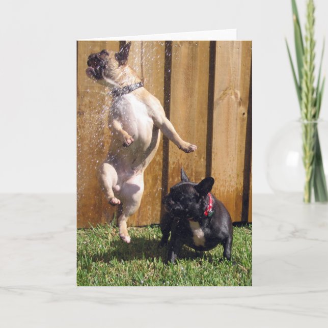 Carte Bouledogue français heureux (Devant)