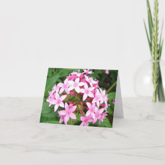 Carte Bouquet rose v2