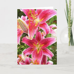 Carte Bouquet Stargazer