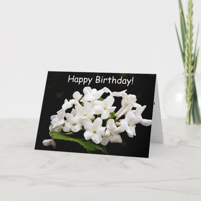 Carte Bouquets de fleurs blanches (Devant)