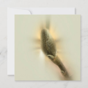 Carte bourgeon de magnolia