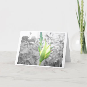 carte bourgeon jaune